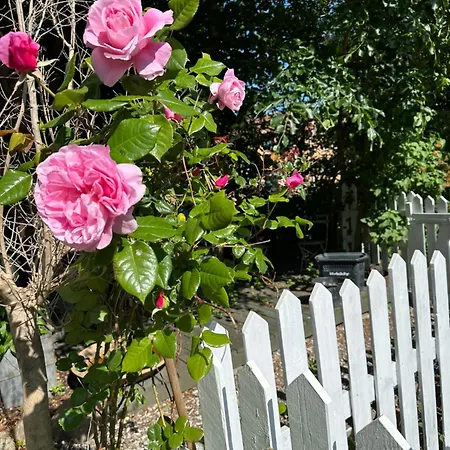 Hobro Guesthouse Bed & Breakfast
